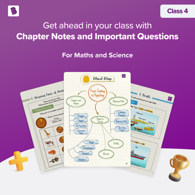 Chapter Notes and Question Bank - Class 4